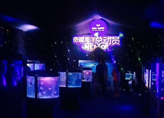 雅居樂新城灣畔海洋季體驗