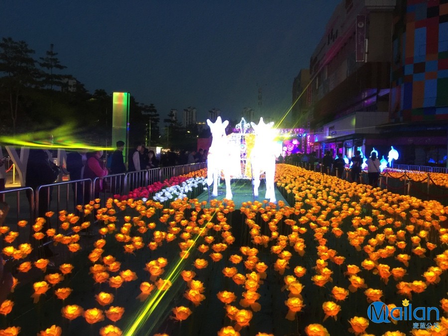 麥藍|公關活動|影視廣告|IP運營|設計創意